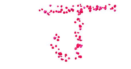 Rose Petal Alphabet with white background