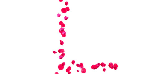 Rose Petal Alphabet with white background