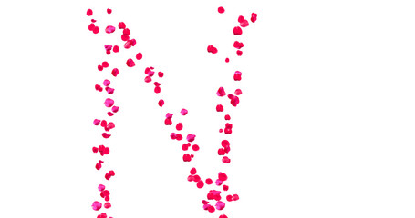 Rose Petal Alphabet with white background