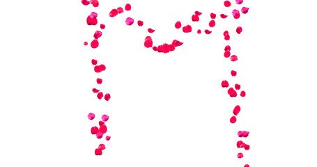 Rose Petal Alphabet with white background