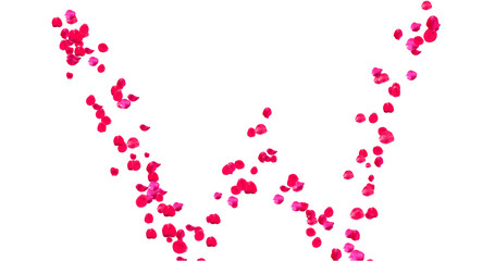 Rose Petal Alphabet with white background