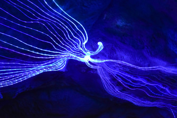 Blue light from decorative lights. Bokeh of blue light from decorative lights