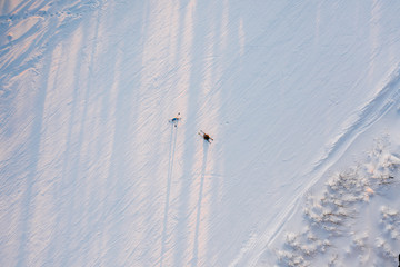 Top view of a snowboarder and skier