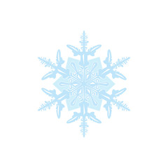 Vector snowflake isolated on white background