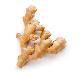 Fresh ginger on white background