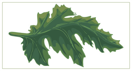 Abstract green leaf logo icon vector design isolated on a white background