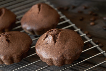 Homemade chocolate muffins on metal oven grill with coffee beans. Dark wooden background, closeup, selective focus