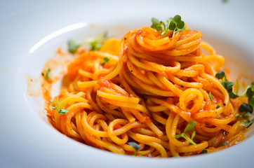 delicious italian spaghetti with tomatoes sauce