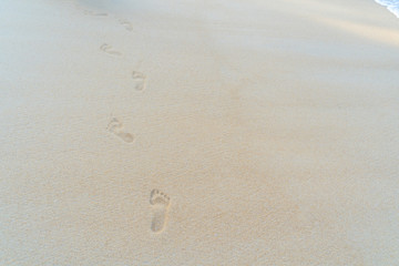 Background, bright brown sea sand, comfortable to the eyes, Phuket, Thailand.