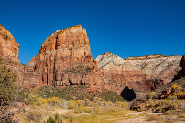 Fototapeta premium Beautiful autumn landscape around Zion National Park