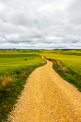Unpaved country road with pilgrims on the Way of St. James, Camino de Santiago between Castrojeriz and Itero de la Vega in Castile and Leon, Spain under overcast May sky