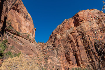 Fototapeta premium Beautiful landscape around Zion National Park