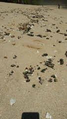 footprints in the sand