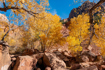 Beautiful autumn landscape around Zion National Park