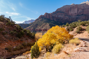 Beautiful autumn landscape around Zion National Park