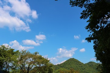 空　秋　風景　山　緑　杤木