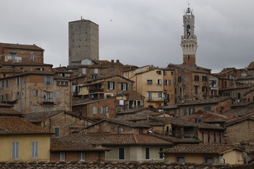 Fototapeta na wymiar Architectonic heritage in Sienna