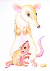 Pencil drawing of a rat. Illustration for children. Image of animals with colored pencils. Chinese Horoscope 2020. Mouse and rat sharing wheat grain.