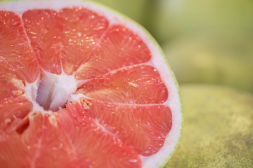 closeup slice of watermelon