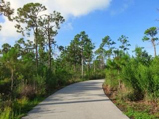 Natur im Gordon River Greenway Park in Naples, Florida
