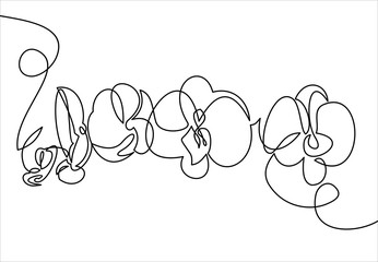 Hand drawn orchid flowers. One line drawing. illustration