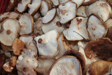 Shiitake mushrooms full frame photo. Mushrooms pattern.