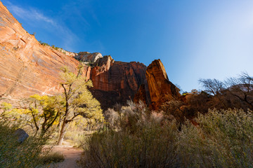 Naklejka premium Beautiful Temple of Sinawava landscape around Zion National Park