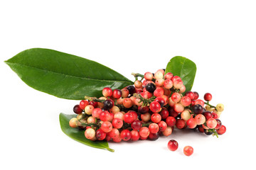 Ripe red antidesma thwaitesianum fruit on white background, Is a fruit that is famous in Thailand