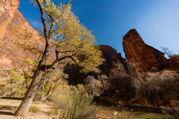 Beautiful Temple of Sinawava landscape around Zion National Park