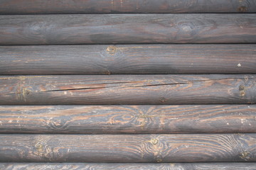 close up of wooden wall, trunks inline, wood texture backround