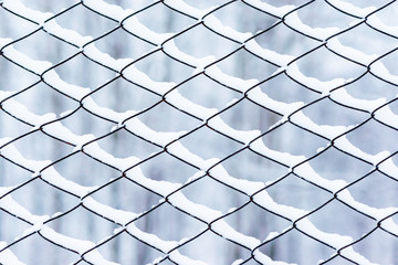 lattice netting in the snow