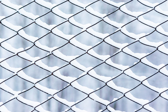 Lattice Netting In The Snow