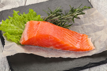 Piece of raw salmon