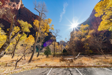 Fototapeta premium Beautiful autumn landscape around Zion National Park