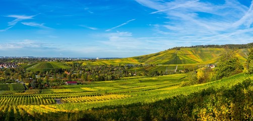 Germany, XXL panorama of colorful vineyards of kappelberg mountain in autumn season with blue sky...