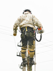 Climber on a tree. Climber on a white background. Arborist man cuts branches with a chainsaw and throws it to the ground. A worker with a helmet works at a height in the trees. Lumberjack works with a