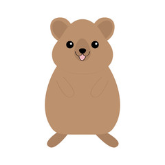 Qokka. Cute cartoon kawaii funny character. Smiling laughing animal of Australia. Flat design. Isolated. White background.