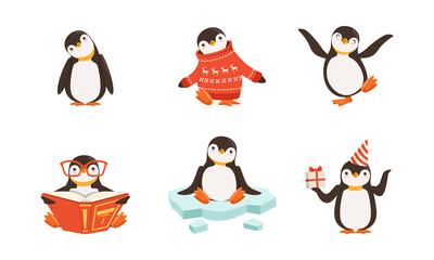 Cute Penguin Cartoon Characters Vector Set. Arctic Creature Wearing Sweater