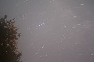 long exposure photo of night star sky with a tree on left side