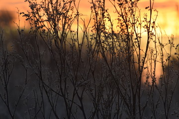 Fototapeta premium РАССВЕТ