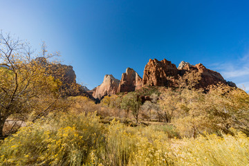 Beautiful autumn landscape around Zion National Park