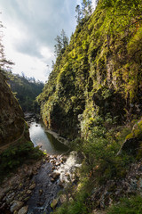 ニュージーランド　コロマンデル近郊のカランガハケ渓谷のオヒネムリ川