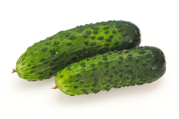 Ripe fresh green two cucumbers