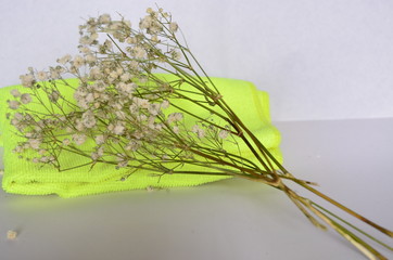 Gypsophila panicle lying on a yellow cloth on a white background