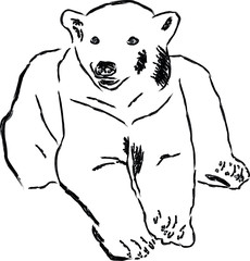 Vector illustration Funny  bear. Sketch  bear sitting in a funny pose. 