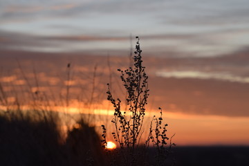 Naklejka premium WSCHÓD SŁOŃCA,