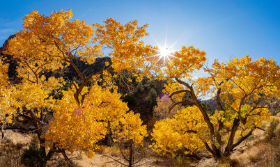 Beautiful autumn landscape around Zion National Park