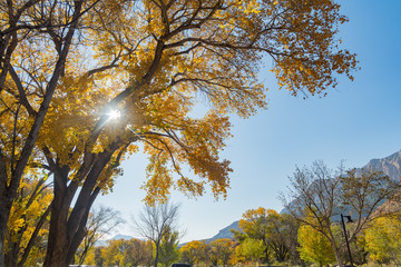 Beautiful autumn landscape around Zion National Park