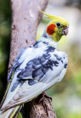 Naturaleza