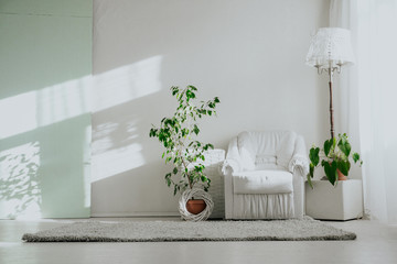 interiors white room with armchair and Greens